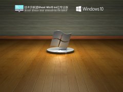 技术员联盟Win10 64位永久免费版镜像 V2021.07