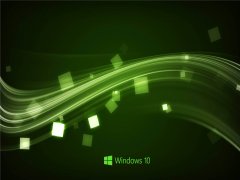 Win10 21H2 19044.1466 UUP版 V2021.01