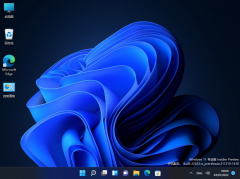 Win11 22533.1001 V2022.01 预览版
