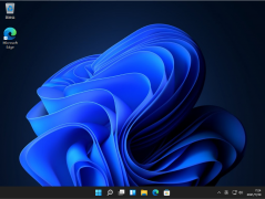 Win11 Build 22000.493 官方安装版 V2022.02