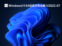 Windows11 64位官方专业版 V2022.07