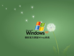 微软官方原版Winxp系统 V2022