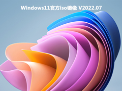 Windows11官方iso镜像 V2022.07