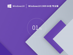 Windows10 1909 64位专业版镜像 V2023