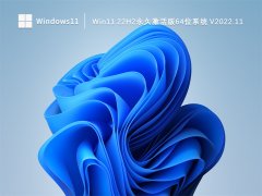 Win11 22H2永久免费版64位系统 V2022.11