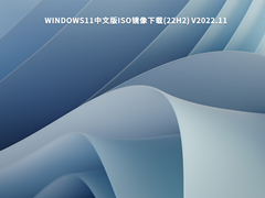 Windows11中文版iso镜像下载(22H2) V2022.11