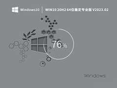 Win10 20h2 64位稳定专业版 V2023.02