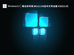 笔记本专用 Win11 64位中文专业版 V2023.03