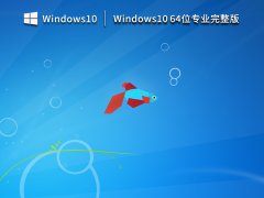 Windows10 64位专业完整版 V2023
