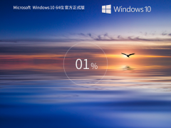 笔记本专用Win10 64位 免费专业版