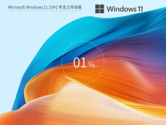 Win11 MSDN专业工作站版