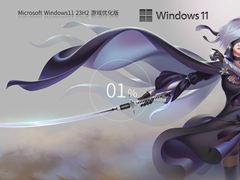 【性能增强】Windows11 23H2 64位游戏优化版