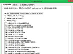 Win10系统下如何自定义外观和性能选项