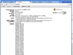 Win7谷歌Chrome缓存文件位置如何查看？