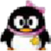 小灰QQ机器人 V1.0.1304.09 绿色版