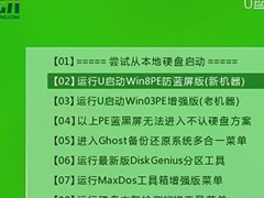 memtest怎么用？使用u启动memtest工具检测物理内存的方法
