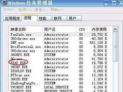 任务管理器中的ppap.exe是什么进程？ppap.exe进程可以删除吗？