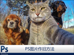 PS怎么把照片作旧？利用PS杂色作旧图层的方法