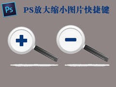 PS放大缩小图片的快捷键是什么？PS放大缩小图片的操作技巧