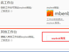 Anydesk怎么设置固定访问密码？Anydesk设置固定访问密码的方法