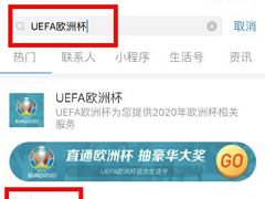 支付宝怎样预订欧洲杯门票？支付宝预订欧洲杯门票的操作步骤