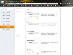 猎豹浏览器怎么设置字体？字体设置方法分享