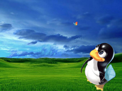 Linux系统中head命令实例详解