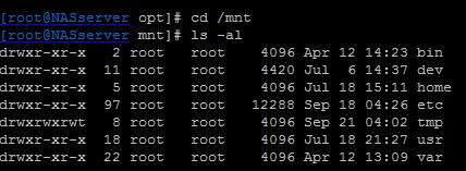  NAS存储故障导致Linux不能正常启动该如何处理？