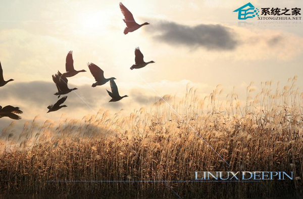  Linux下需谨慎使用的命令汇总