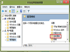 Win8如何隐藏控制面板某些项
