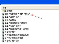 如何禁止WinXP控制面板中的“显示”功能