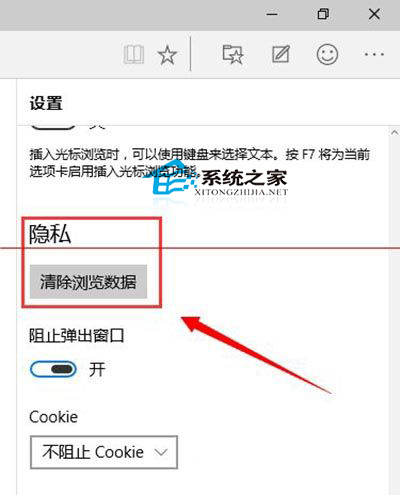 Windows10斯巴达浏览器删除历史记录和cookie的方法