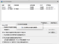 Win10虚拟机无法连接网络怎么解决？