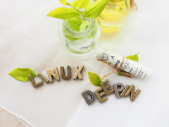 Linux系统中查看和修改DNS配置的方法