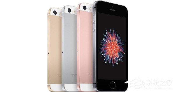 iPhone SE直接影响了高端iPhone的销量