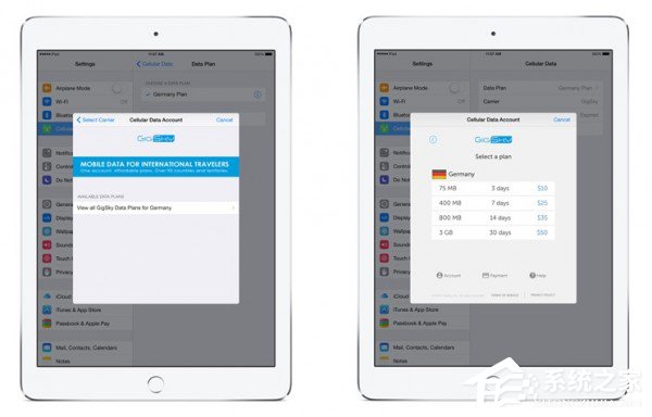 Apple SIM已经获得140多个国家的支持