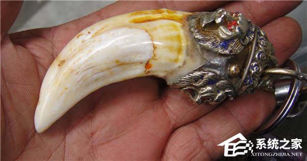 注意！吉林一男子微信朋友圈销售虎牙被抓
