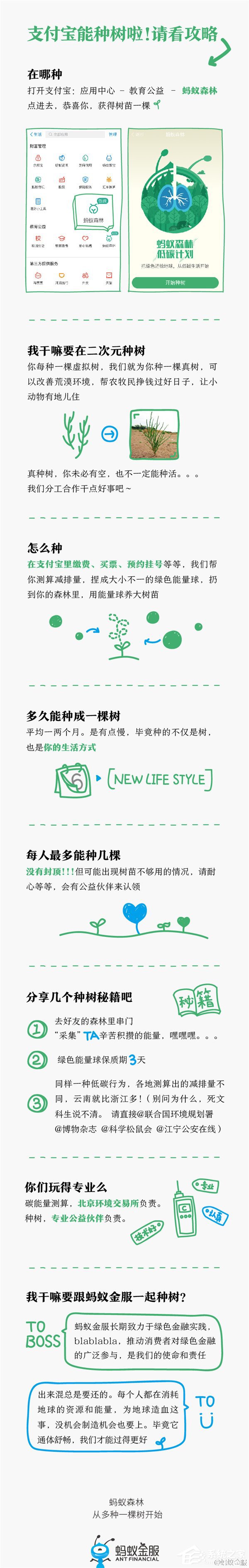 蚂蚁金服推出“碳账户”，可在支付宝种“虚拟树”