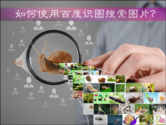 如何使用百度识图搜索图片？百度识图怎么用？