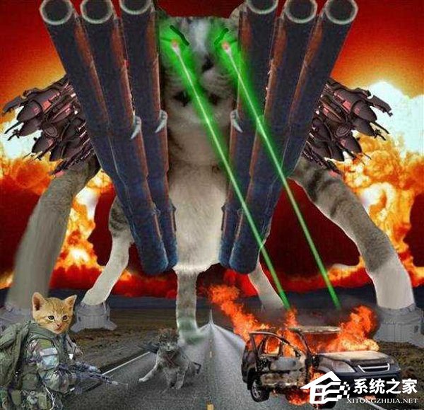 这才是睡觉的最高境界：贪睡喵星人快被网友们玩坏了