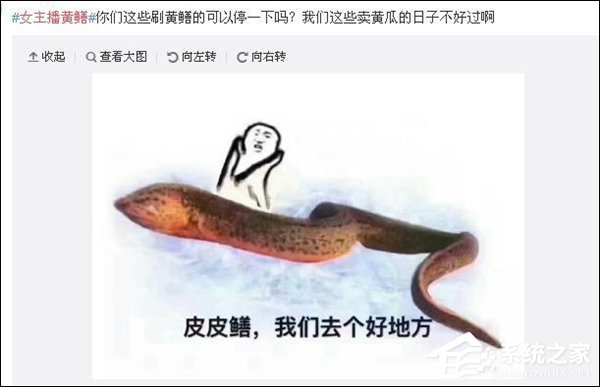 多部门严查“老虎”直播平台：“黄鳝门”女主播被抓获
