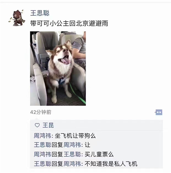 王思聪带爱宠乘飞机回北京避雨：红衣教主意外扎心了