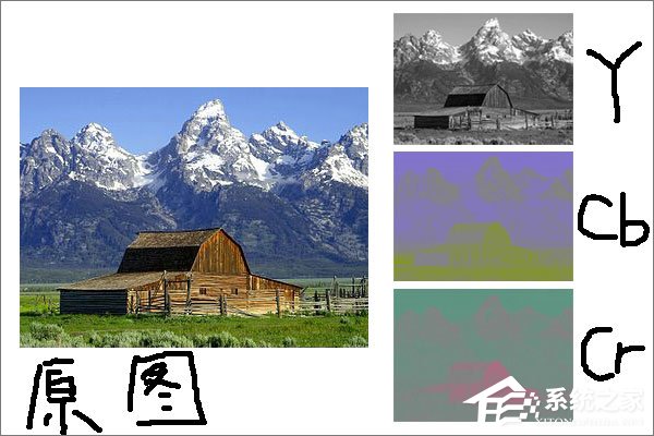 科普:关于图像格式JPG和JPEG你知多少?