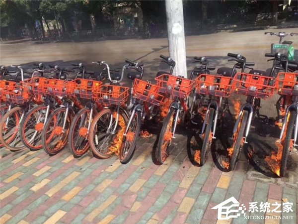 摩拜单车集体自燃？官方：系人为纵火已报警