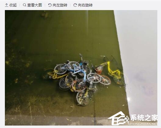 北京护城河水位下降：众多共享单车躺尸河床