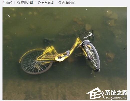 北京护城河水位下降：众多共享单车躺尸河床