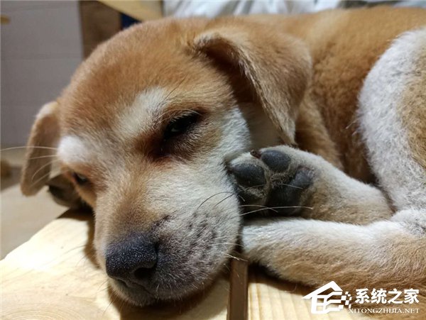 魅族Pro7评测:首发联发科X30+双屏双摄能否为旗舰机正名