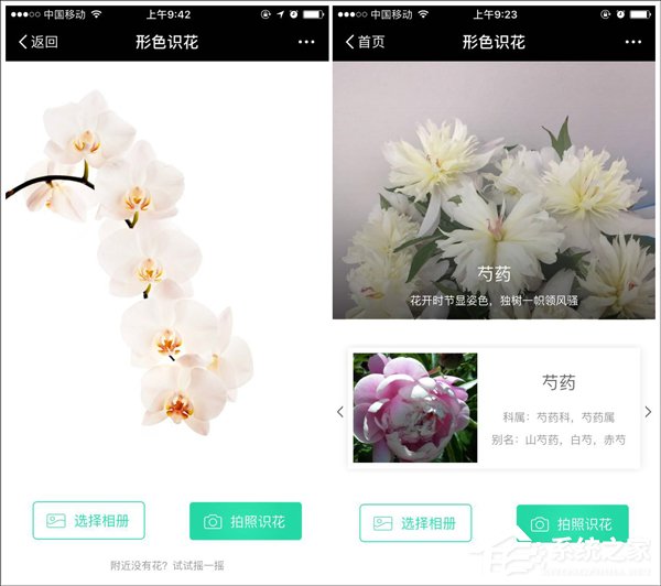 没想到你是这样的支付宝！网曝支付宝小程序代码都是抄微信的