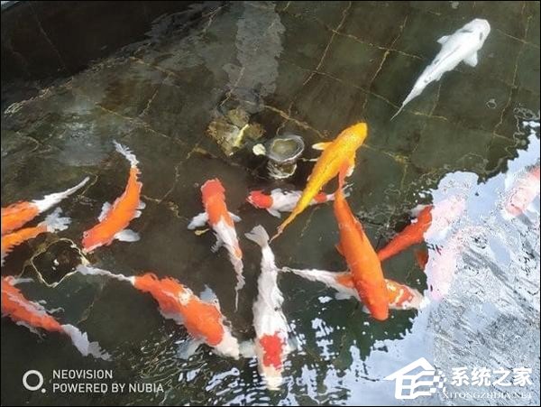 努比亚Z17S怎么样？ 努比亚全面屏新机Z17S评测