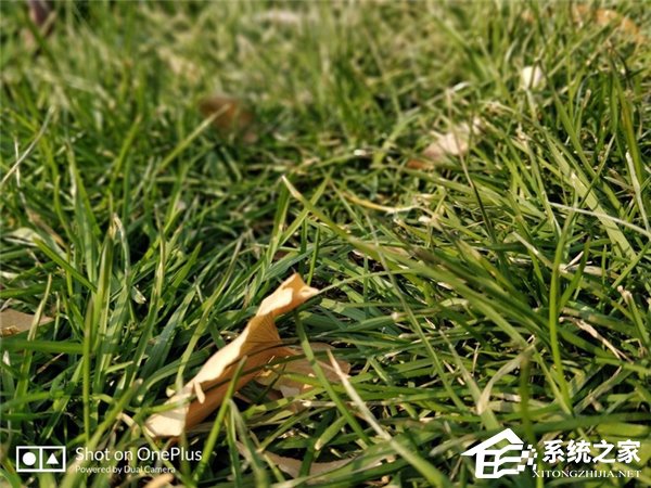 一加5T怎么样？国行版一加5T深度评测
